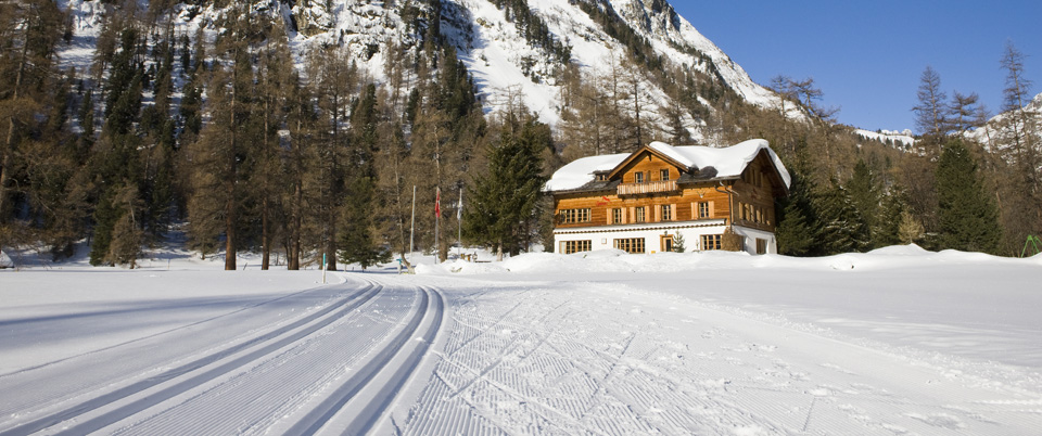 O_f3855344-ce73-489f-845d-e2a6e2d3bd4f