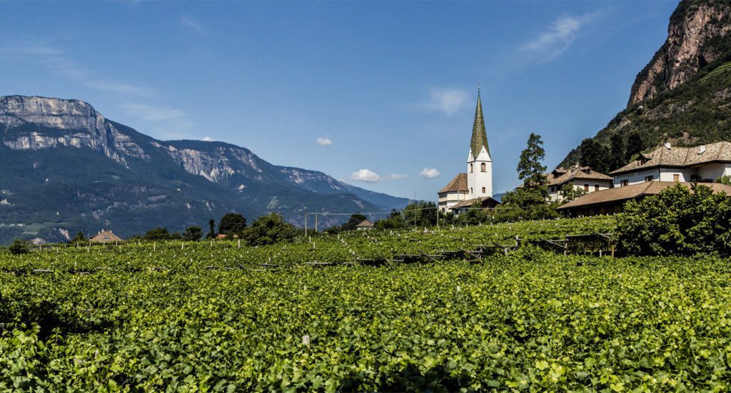 Mittleres Etschtal - Weine mit Alterungspotential (Bild: © Vinum Hotels Südtirol)