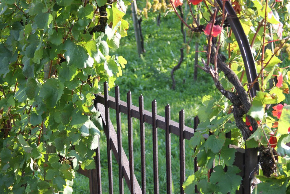 Wiikend-Maienfeld-03