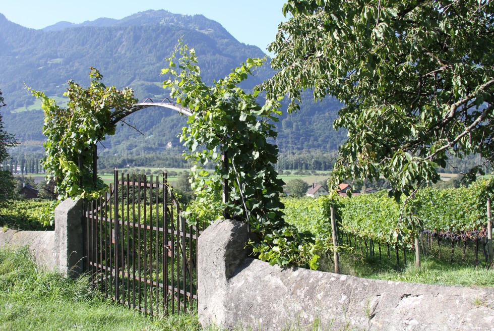 Wiikend-Maienfeld-04