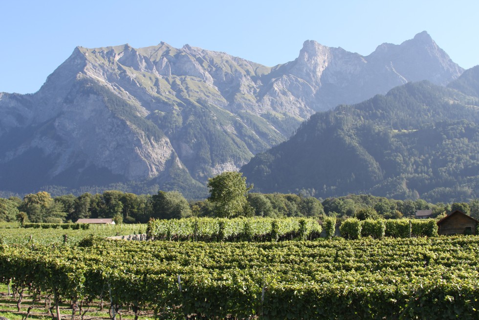 Wiikend-Maienfeld-05