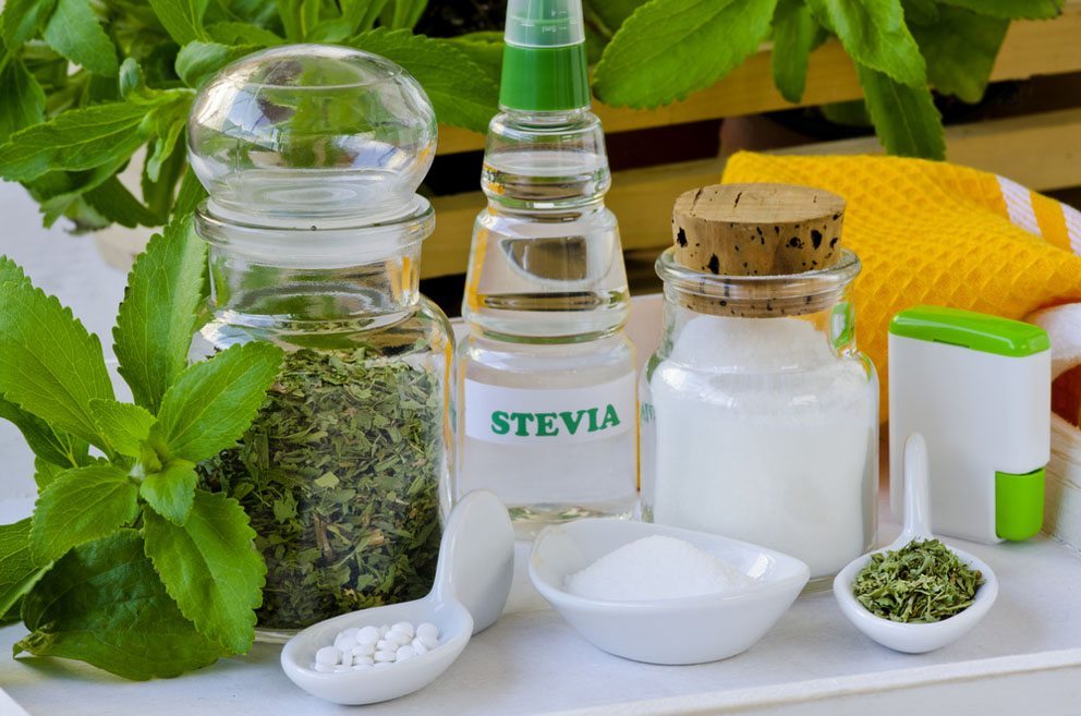 Stevia (Bild: Pat_Hastings – Shutterstock.com)